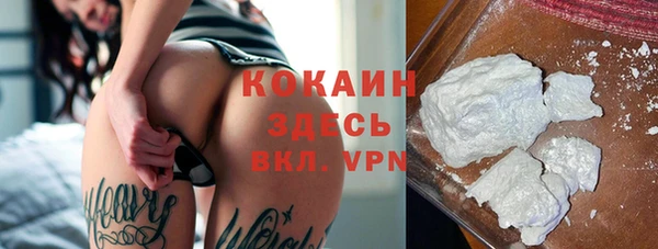 ешки Алексин