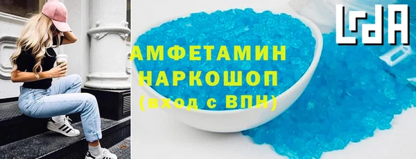 стаф Алзамай
