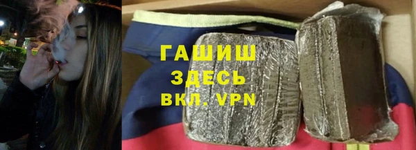 стаф Алзамай