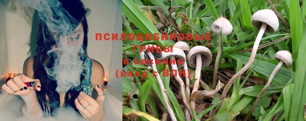 мяу мяу мука Алексеевка