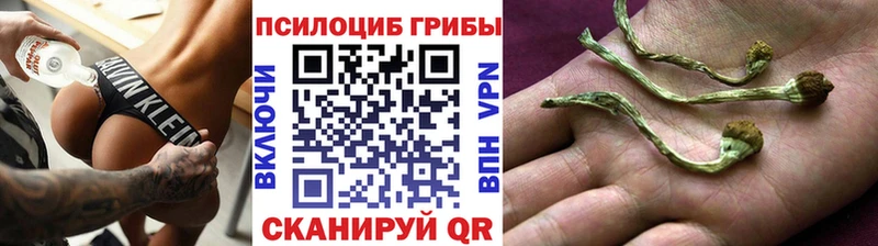 Псилоцибиновые грибы ЛСД Нурлат